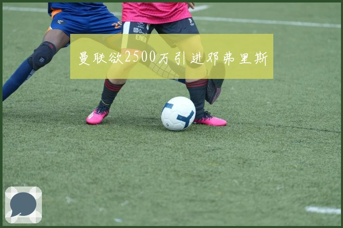 曼联欲2500万引进邓弗里斯