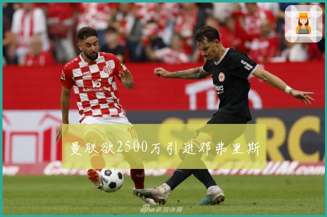 曼联欲2500万引进邓弗里斯